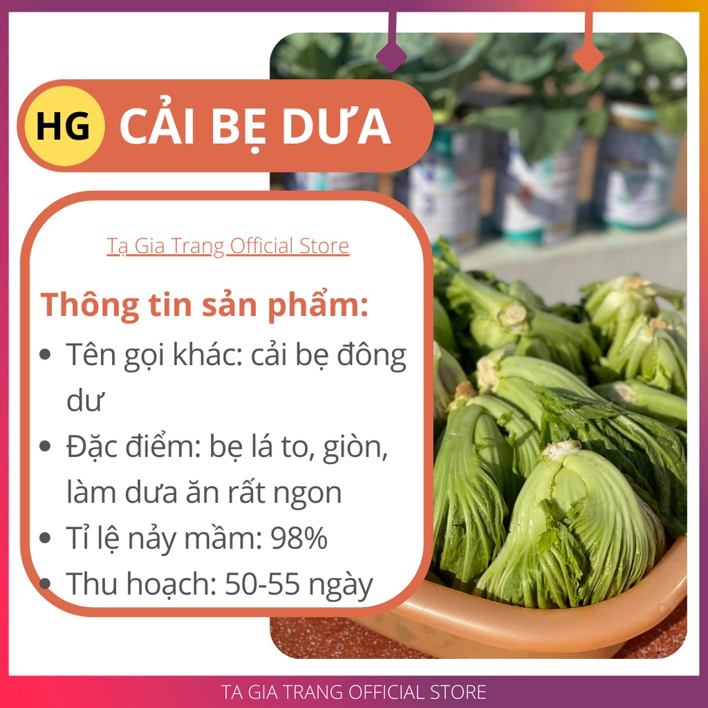 [Bán sỉ] - Hạt giống rau cải bẹ dưa (cải bẹ đông dư)