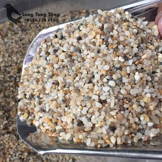 1 kg Sỏi suối nhỏ trải nền hồ cá thủy sinh