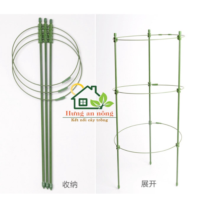 Bộ giá đỡ hoa hồng, cây cảnh, hỗ trợ dây leo size 45cm/75cm