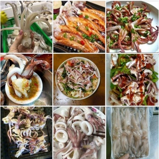 Đầu mực ống 1kg.