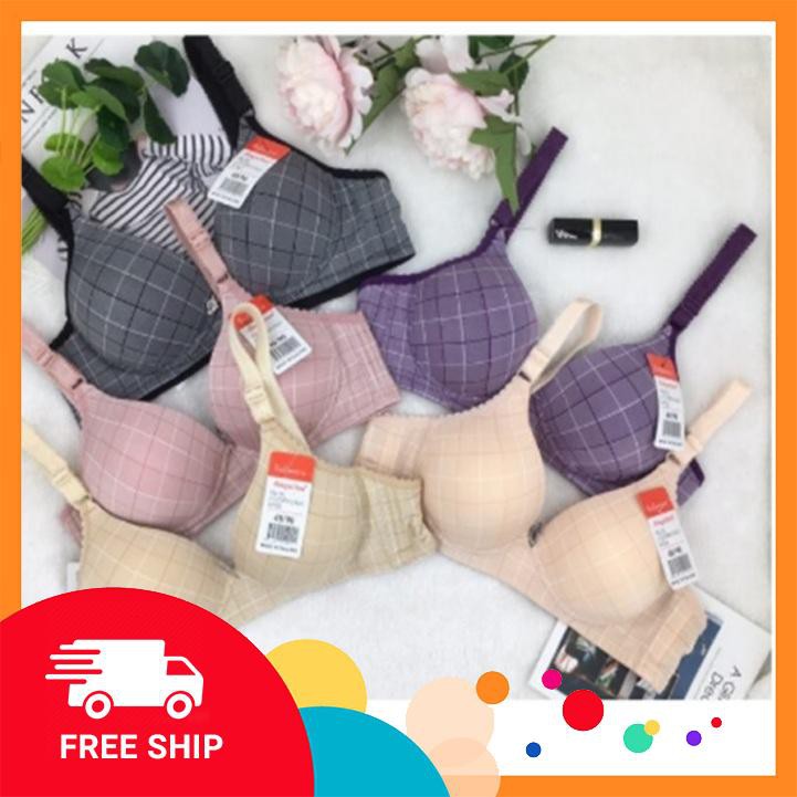 Áo lót đệm mỏng 151 quả to BC_CHIC LINGERIE