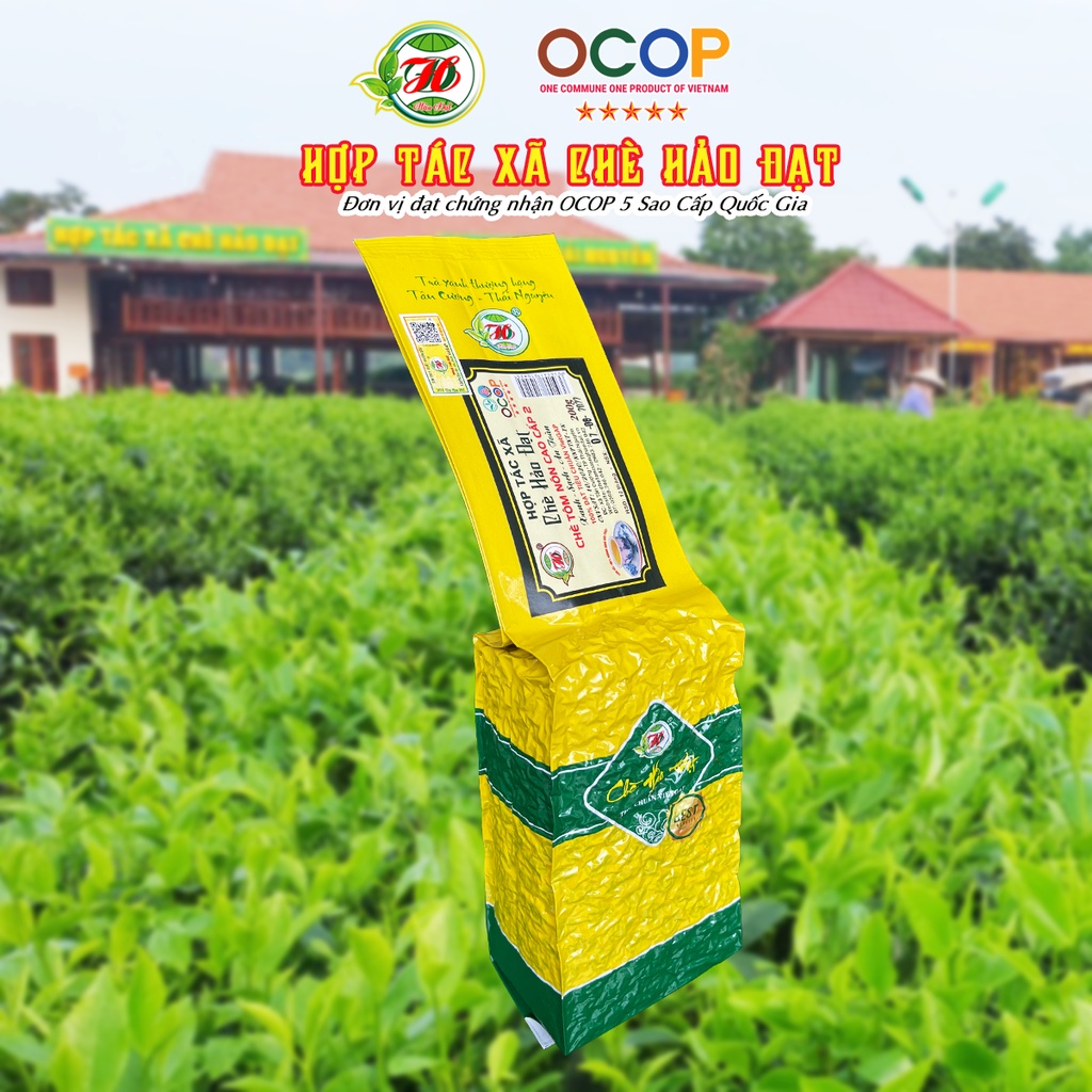 Chè Tôm Nõn Cao Cấp 2 - Hợp Tác Xã Chè Hảo Đạt - Chè Tân Cương Thái Nguyên
