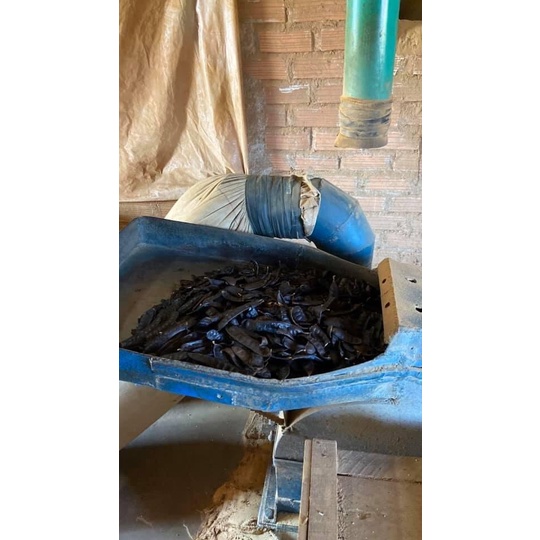 Combo 3Hộp nhang Bồ Kết Dương Minh nhang sạch 100% thành phần tự nhiên hương nhang thắp cúng xông nhà an toàn