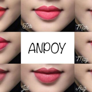 Son lì Anpoy Matte Lipstick