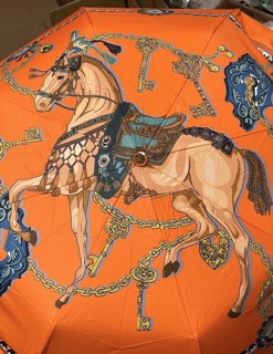 Dù tự động