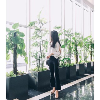 Quần Loe ngố đen thần thánh