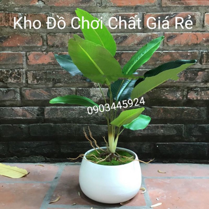 Cây chuối Cảnh giả 9 lá cao 40cm không kèm chậu-Cây Giả