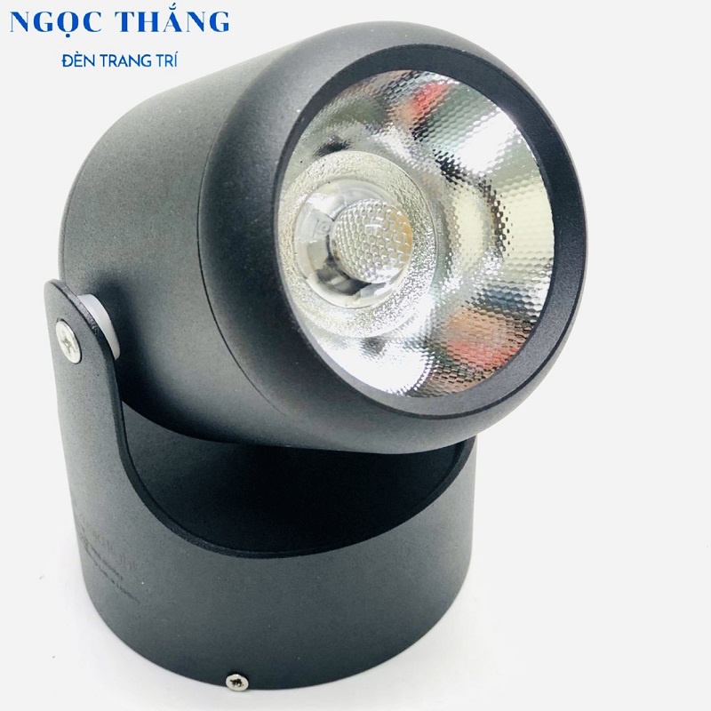 Đèn Led soi gương chiếu tranh gắn tường phòng ngủ phòng khách Led 7W PT008B Ngọc Thắng