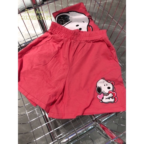 SET CÚN ĐÙI ĐÁNG YÊU HÀNG NHẬP KÈM HÌNH THẬT