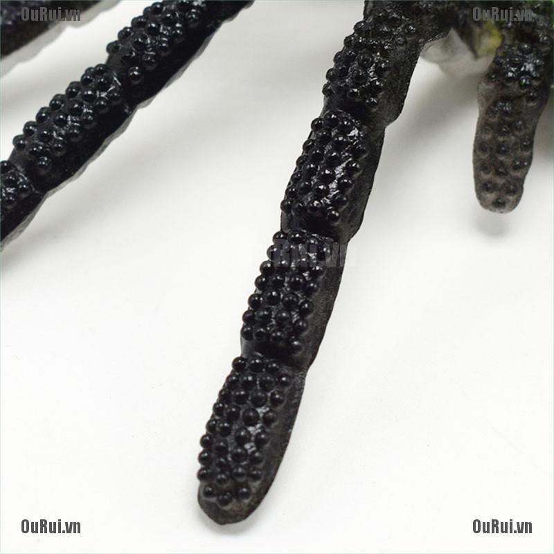 Mô Hình Côn Trùng Đồ Chơi Chất Lượng Cao Dành Cho Bé