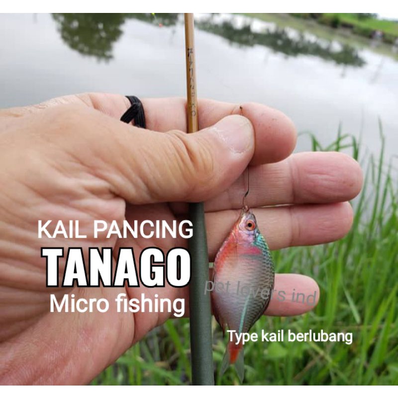 Móc Câu Cá Tanago / Rasbora / Giày / Số 0.1