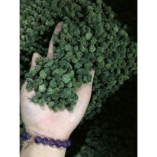 1kg nụ tam thất bao tử không cuống