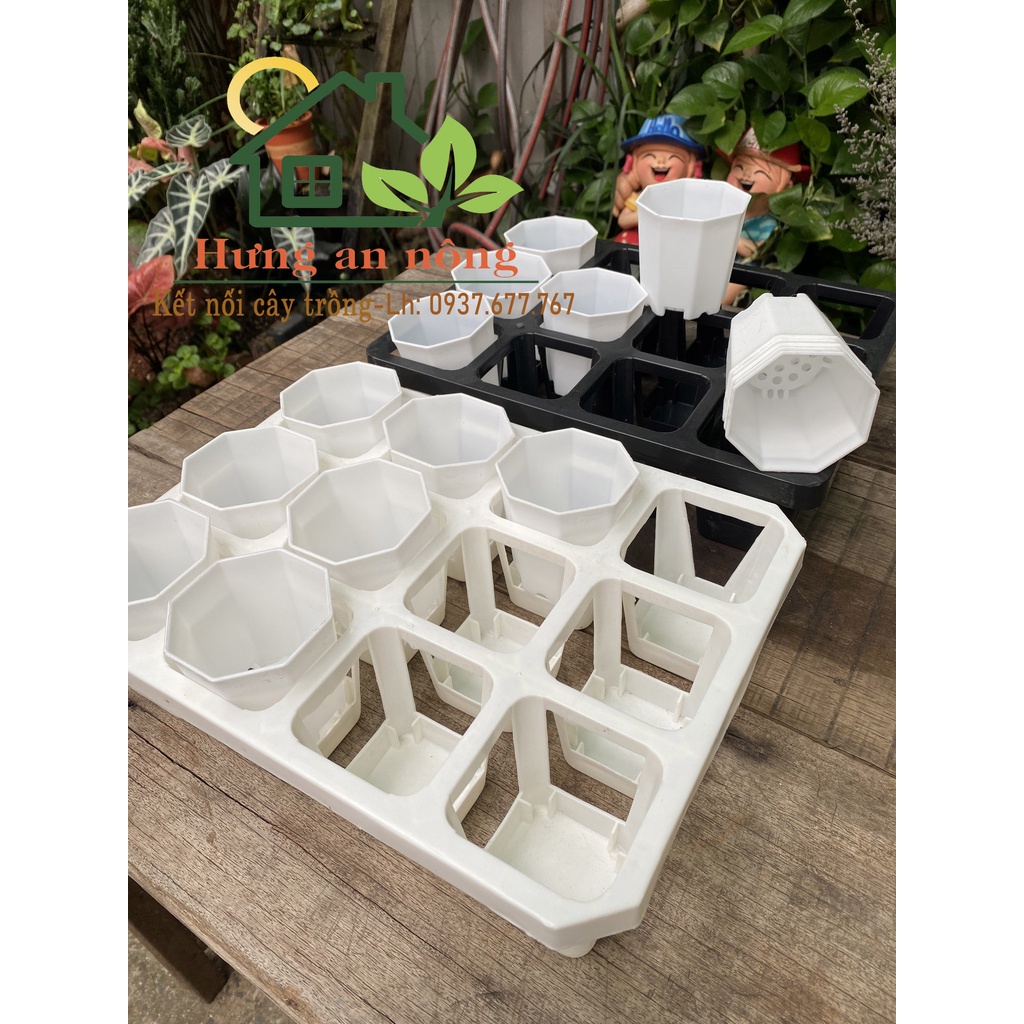 Chậu trắng 8 cạnh L2 size 7cm - nhựa PP chuyên trồng bonsai mini, sen đá xương rồng để bàn