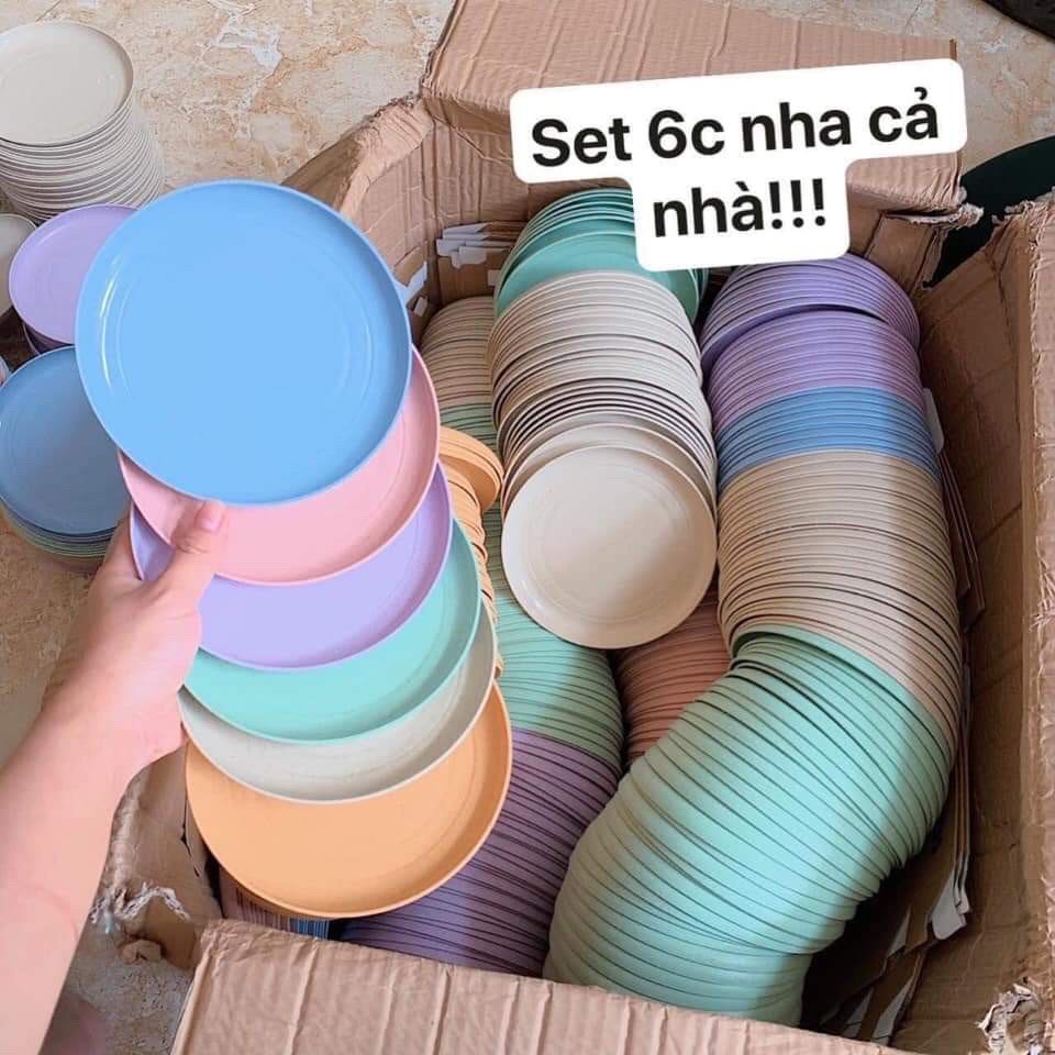 Set đĩa lúa mạch cao cấp