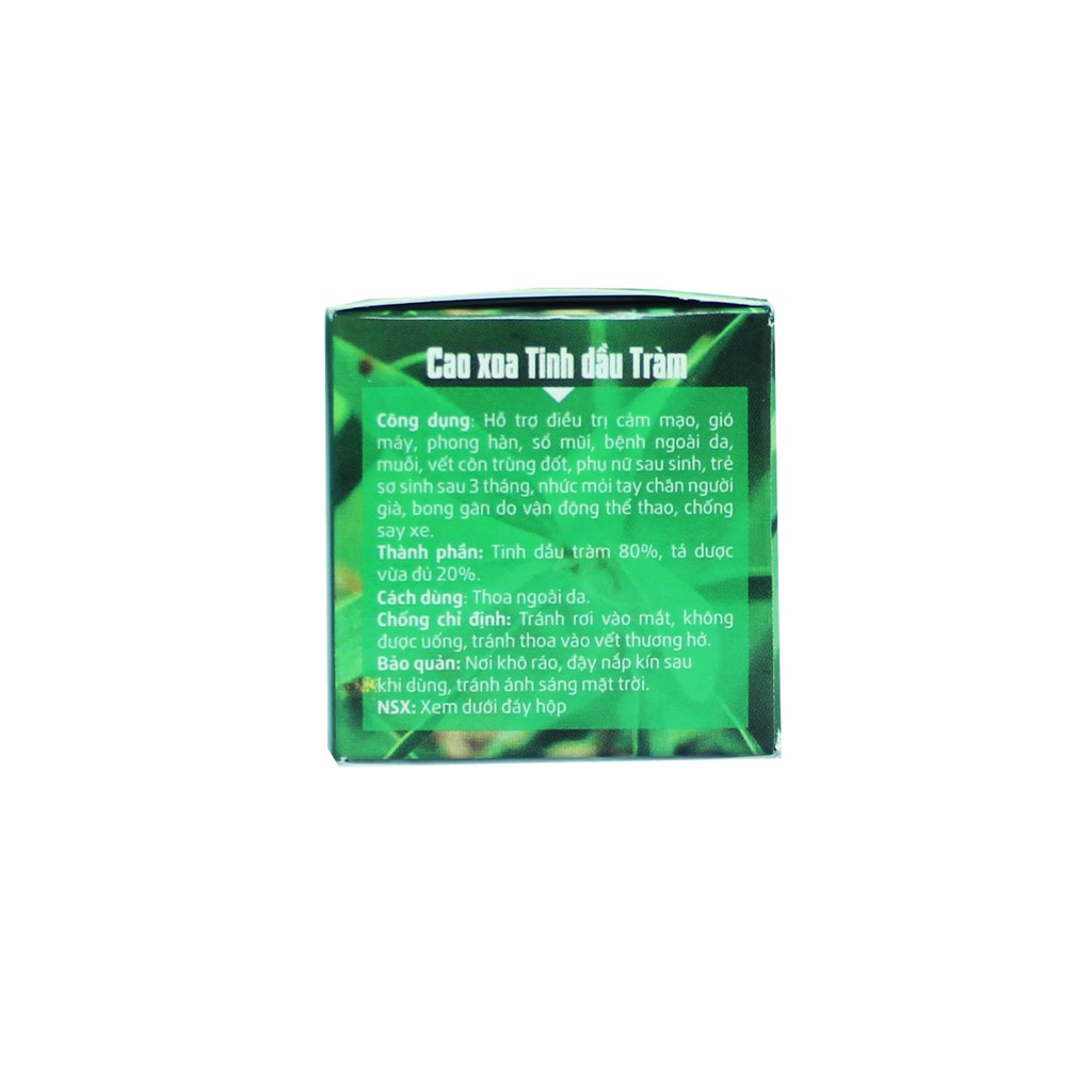 Cao xoa tinh dầu tràm Huế Kim Vui