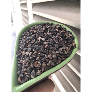 Hạt ba khía cho hamster - gói 100gr