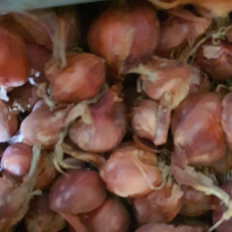 hành khô tỏi khô
