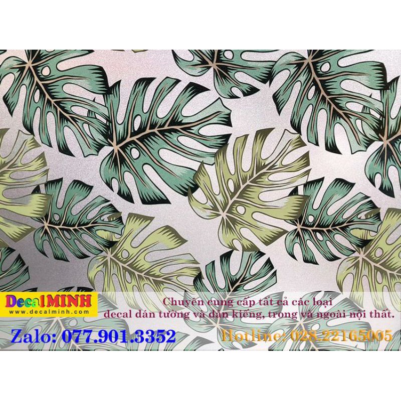 Combo Decal dán cửa kính mẫu lá rùa nhiệt đới cao cấp