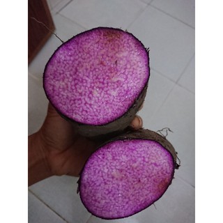 Củ khoai mỡ tím (5kg)