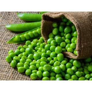 Hạt giống đậu hà lan 50g