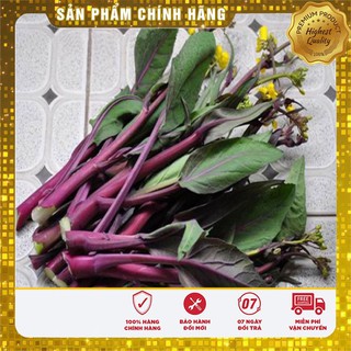Hạt giống rau cải ngồng đỏ (5 Gr)