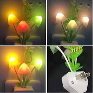 Đèn ngủ hình nấm avatar 2019