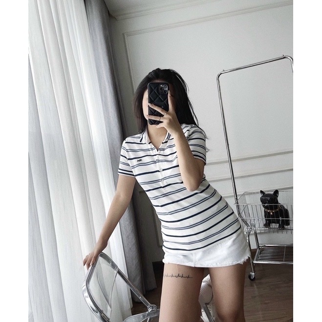 Áo polo trắng Lacoste cá sấu nam nữ sọc ngang