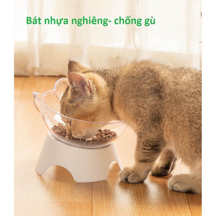 BÁT NHỰA NGHIÊNG CHO CHÓ MÈO - CHÉN ĐỰNG THỨC ĂN CHỐNG GÙ THÚ CƯNG NHỎ &lt; 7kg