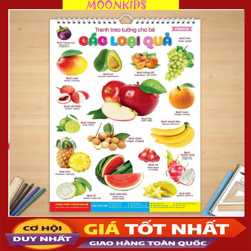 Bộ tranh lịch 14 chủ để cho bé nhận biết thế giới xung quanh
