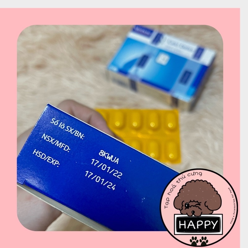 HOẢ TỐC |  Viên bổ sung canxi Virbac Pháp chó mèo / Calci Delice cung cấp calcicum phospho vitamin D3 thú cưng