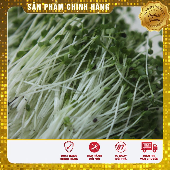 Hạt giống Rau mầm Cải Ngọt ( 50 gram)