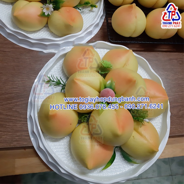 25 Hộp H40 đựng bánh bông lan 25cm - Hộp đựng rau câu 3D - Hộp đựng rau câu cá chép