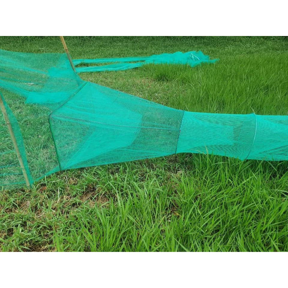 Đăng chặn sông, cống - bắt tôm tép tất cả các loại cá - Dớn bắt cá, cua, lươn 30/50