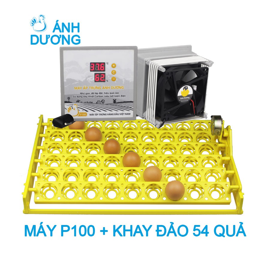 Máy Ấp Trứng Gà Mini Ánh Dương  P100, Khay Đảo Trứng Tự Động 54 Quả, Ấp Trứng Gà, Trứng Vịt, Trứng Ngan, Chim Bồ Câu