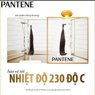 Dầu gội Pantene Pro-V 650ml (phục hồi hư tổn, ngăn rụng tóc, suôn mượt óng ả)