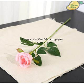 Hoa hồng phụ kiện chụp ảnh