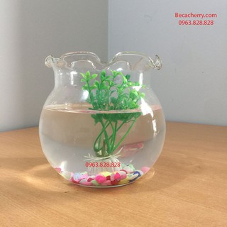 Bể Cá Mini Thủy Tinh  Miệng Bèo size 15 cm