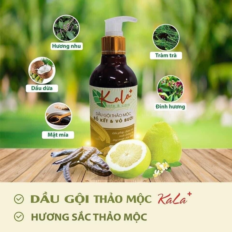 DẦU GỘI THẢO MỘC KALA CAO CẤP CHIẾT XUẤT BỒ KẾT VÀ VỎ BƯỞI 300ml | DẦU GỘI BƯỞI |  DẦU GỘI BỒ KẾT famimark.com