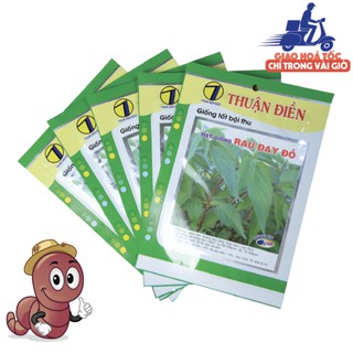 [HẠT GIỐNG RAU ĐAY ĐỎ] tỉ lệ nảy mầm cao
