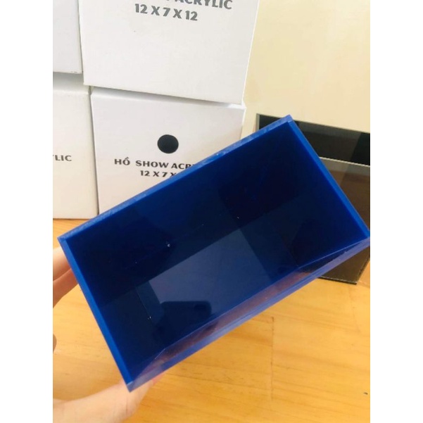 Hồ Show Acrylic Siêu Trong | Bể CÁ Mini Dùng Để Show Guppy, Betta