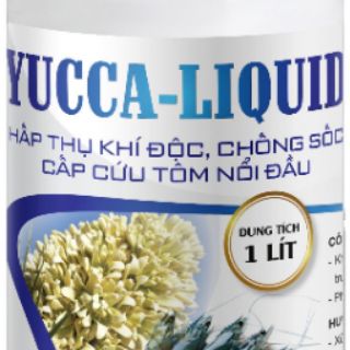 YUCCA - HẤP THU KHÍ ĐỘC TRONG AO NUÔI TÔM CÁ