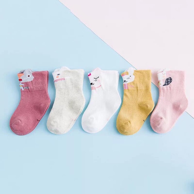 Set 5 đôi tất cao cổ tiny cao cấp