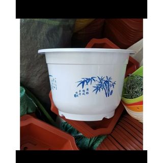 10 chậu trồng hoa siêu Hót phi 24cm