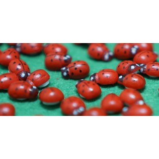 [500đ/con] Mô hình bọ dừa Ladybug trang trí tiểu cảnh, miniature