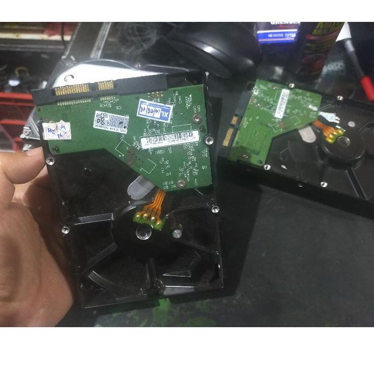 Ổ Cứng 7kv 250gb Sata Pc | BigBuy360 - bigbuy360.vn