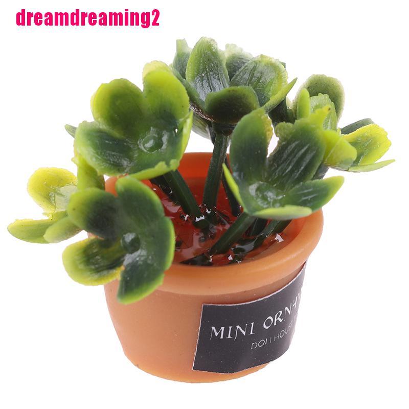 4 Chậu Cây Mini Màu Xanh Lá Cây Trang Trí Nhà Cửa