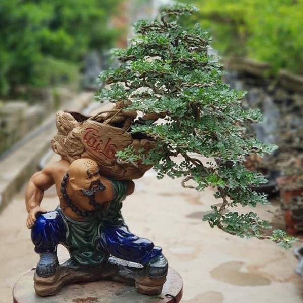 @ (Bát Tràng) TƯỢNG CHẬU TRỒNG CÂY BONSAI TIỂU CẢNH Bao bể vỡ