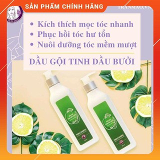 DẦU GỘI TINH DẦU BƯỞI CHỐNG RỤNG TÓC, KÍCH MỌC TÓC