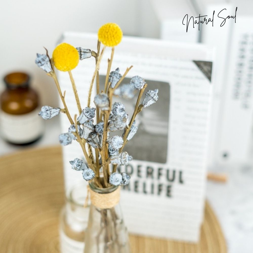 Nụ Hoa Bạch Đàn Khô - Loại Cao Cấp - Shop Natural Soul