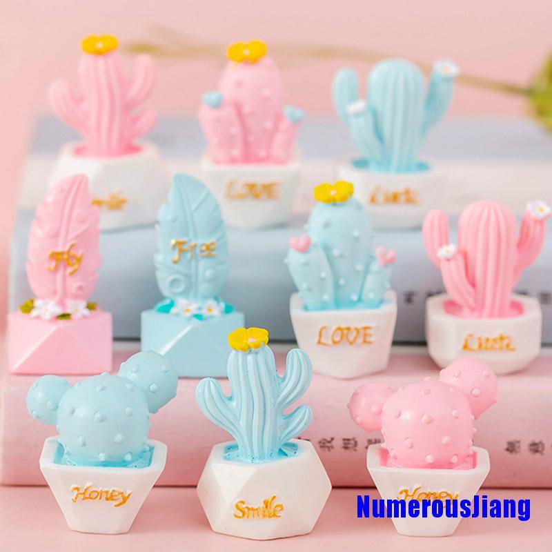 Set 10 Cây Xương Rồng Mini Dễ Thương Trang Trí